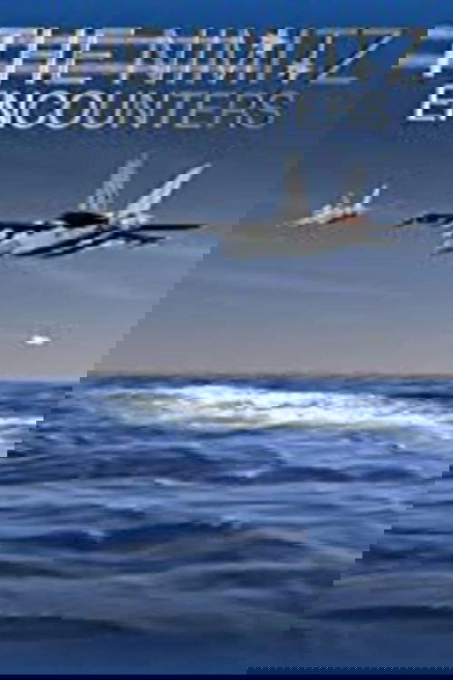 The Nimitz Encounters