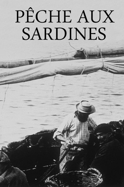 Sardine Fishing