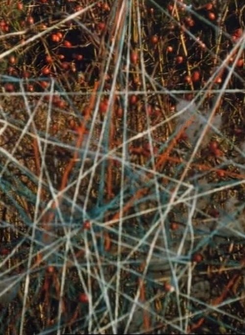 Toying with Strings