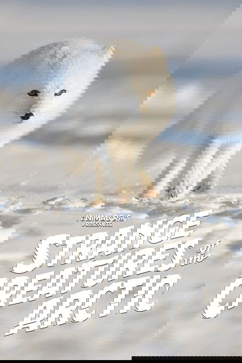 Strange Creatures of the Arctic