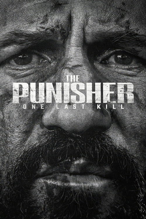 The Punisher: One Last Kill