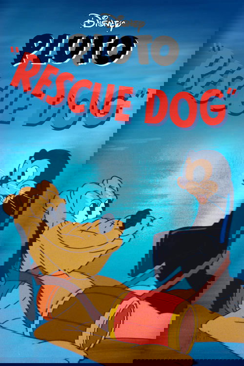 Rescue Dog