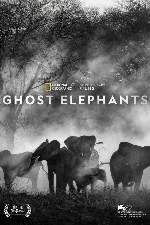 Ghost Elephants
