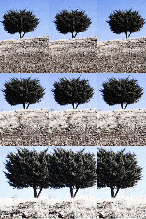 Where is the Final Destination?