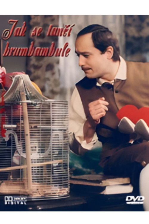 Jak se tančí brumbambule