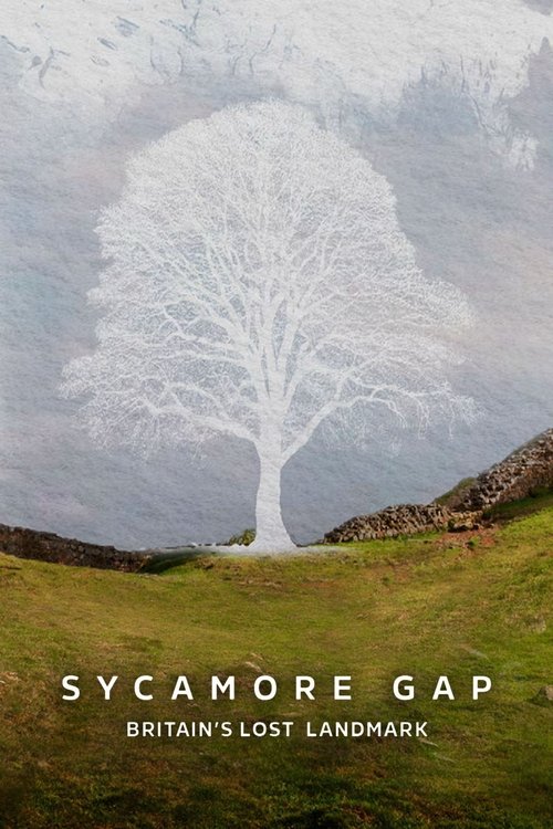 Sycamore Gap: Britain's Lost Landmark